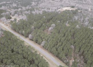 16 Acre Homesite in Magnolia, MS Pike County