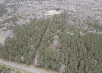 18 Acre Homesite in Magnolia, MS, Pike County