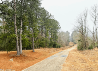 Hunting & Homesite Land Near Tylertown, MS