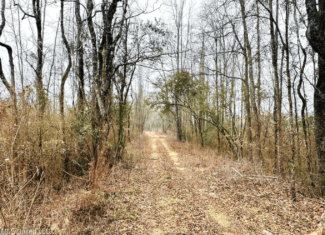 Hunting & Homesite Land Near Tylertown, MS