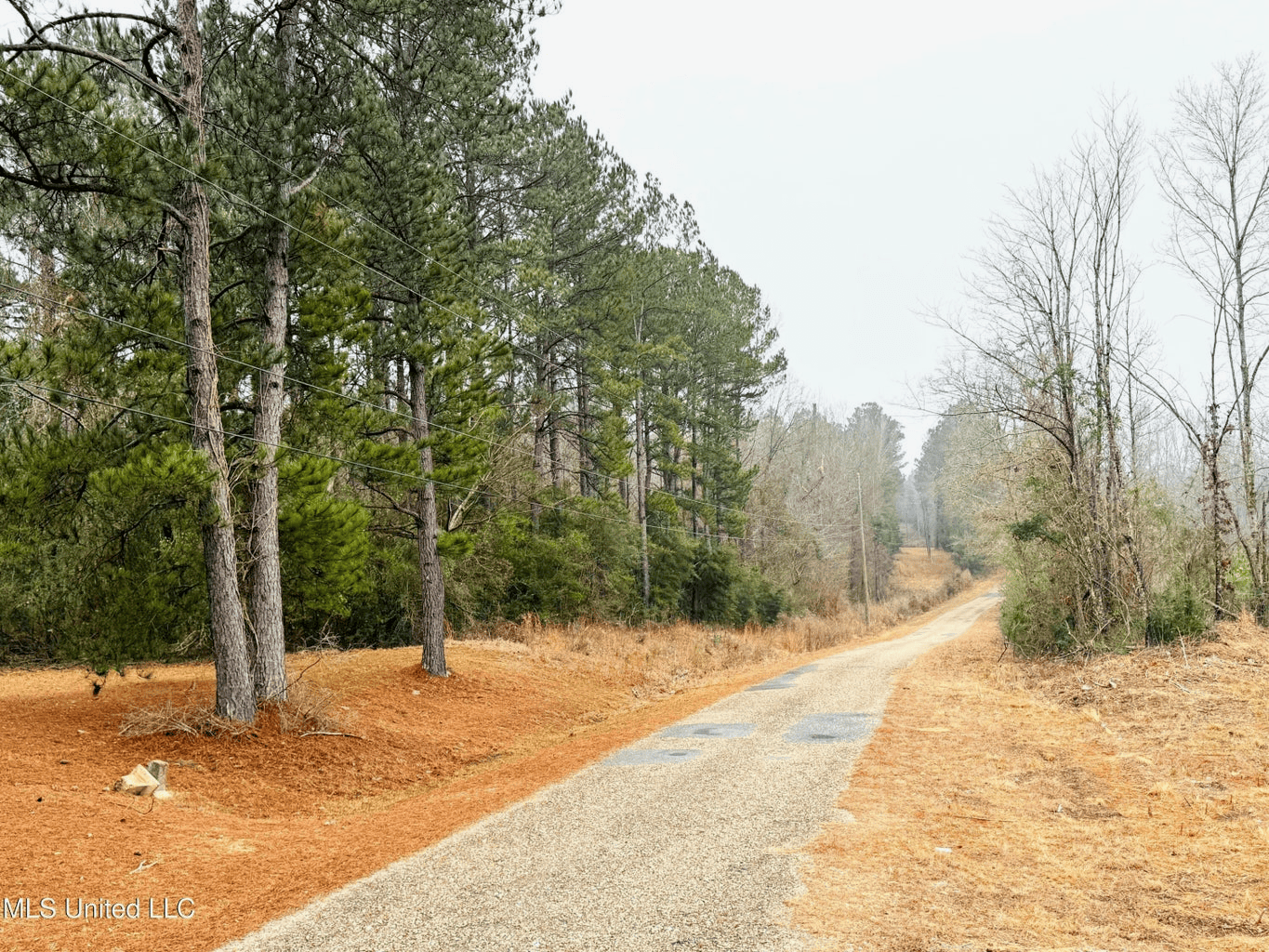 Hunting & Homesite Land Near Tylertown, MS
