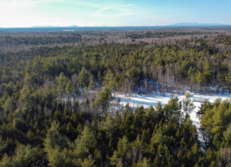 42.9 Acre Off-Grid Parcel – Prentiss, Maine