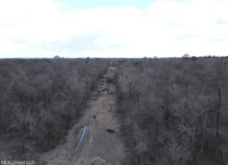 700 Acres in Allen Parish, Louisiana