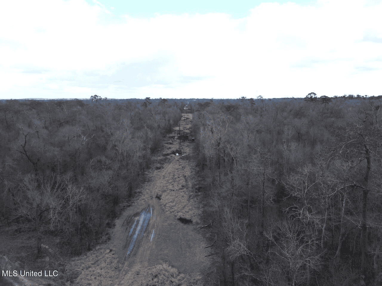 700 Acres in Allen Parish, Louisiana