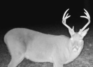 220 Acres South MS Hunting Tract with Camp/Homesite