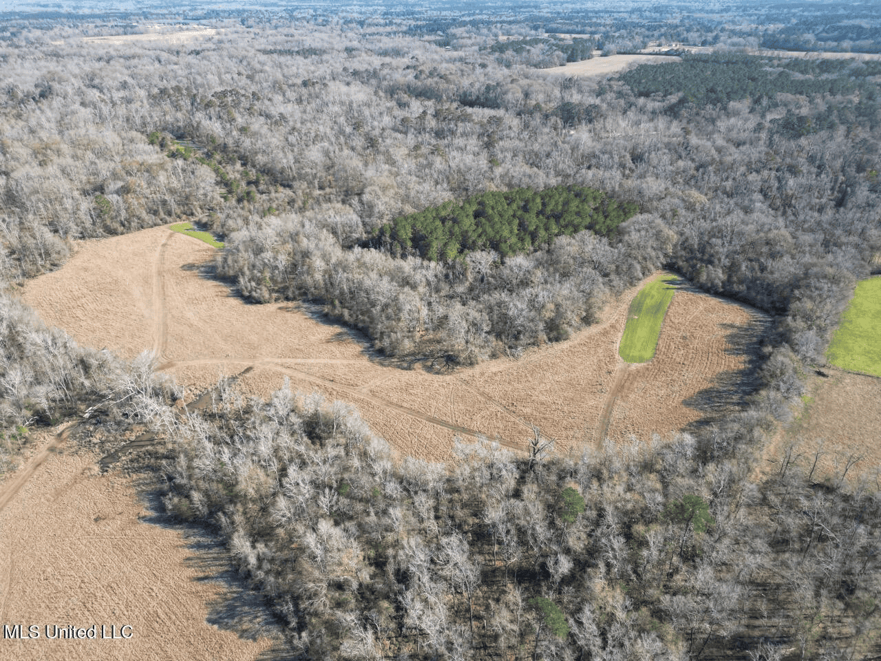 255 Acres East Baton Rouge Parish Near Zachary, LA