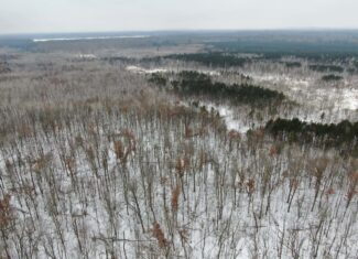 81.64± Acre Parcel in the Town of Clearfield, Juneau County
