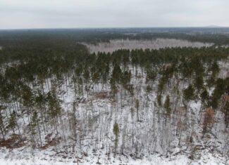 80± acre parcel in the Town of Necedah, Juneau County