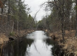 103.69± acre tract in the Town of Necedah, Juneau County