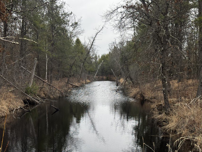 103.69± acre tract in the Town of Necedah, Juneau County