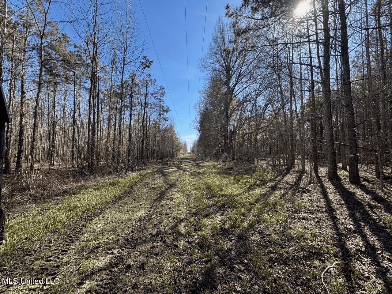 Tensas Riverfront Hunting Land Concordia Parish, LA