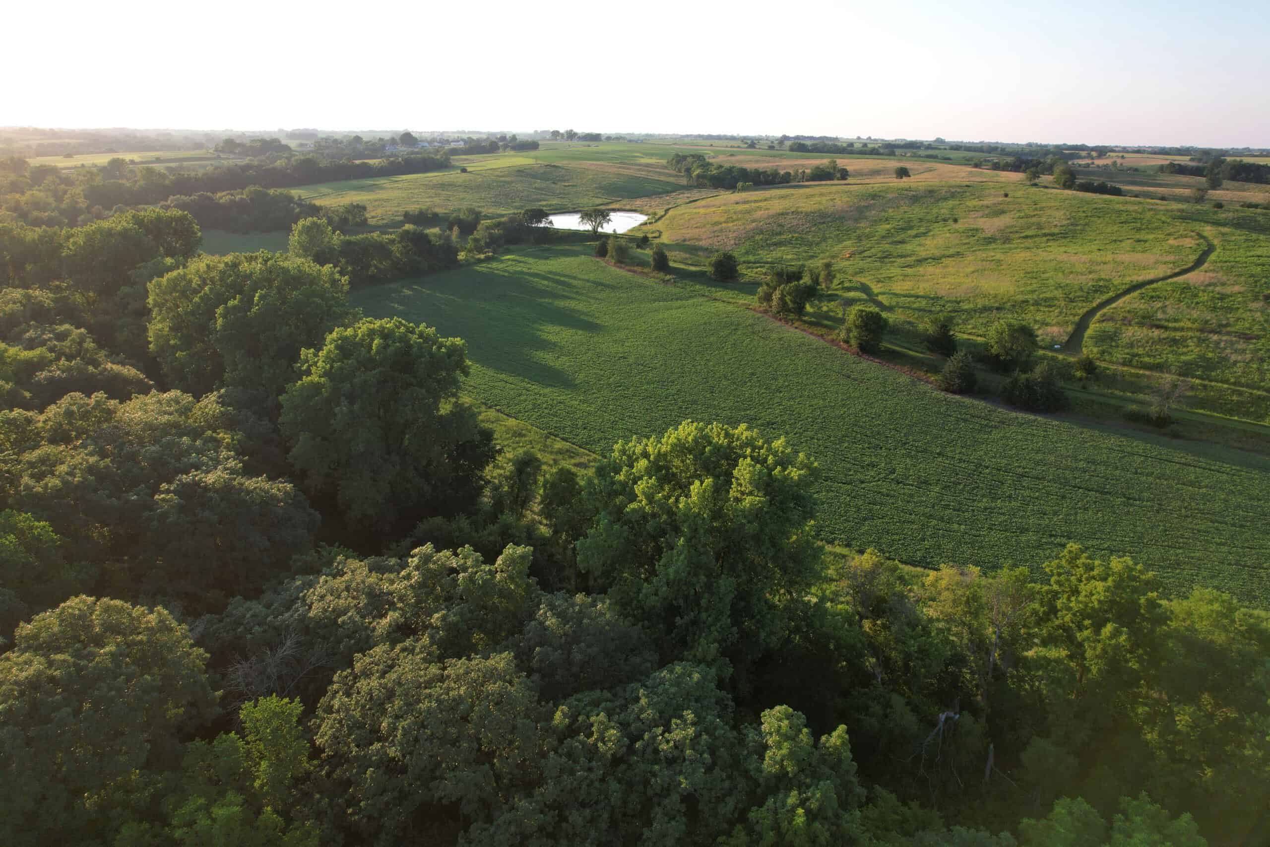 Southern Iowa Combination Hunting Tract
