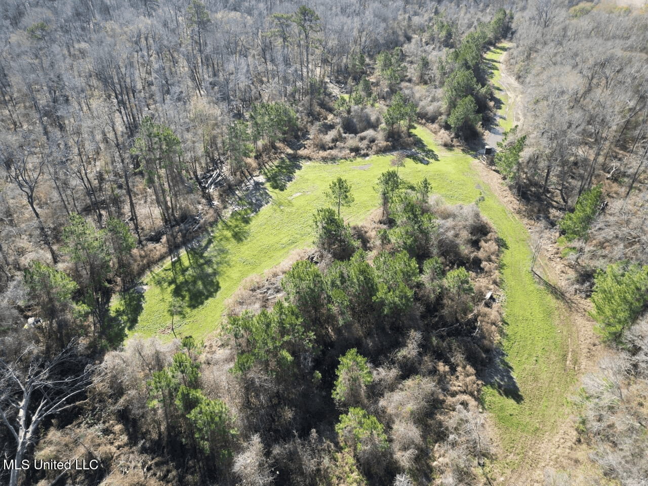 255 Acres East Baton Rouge Parish Near Zachary, LA