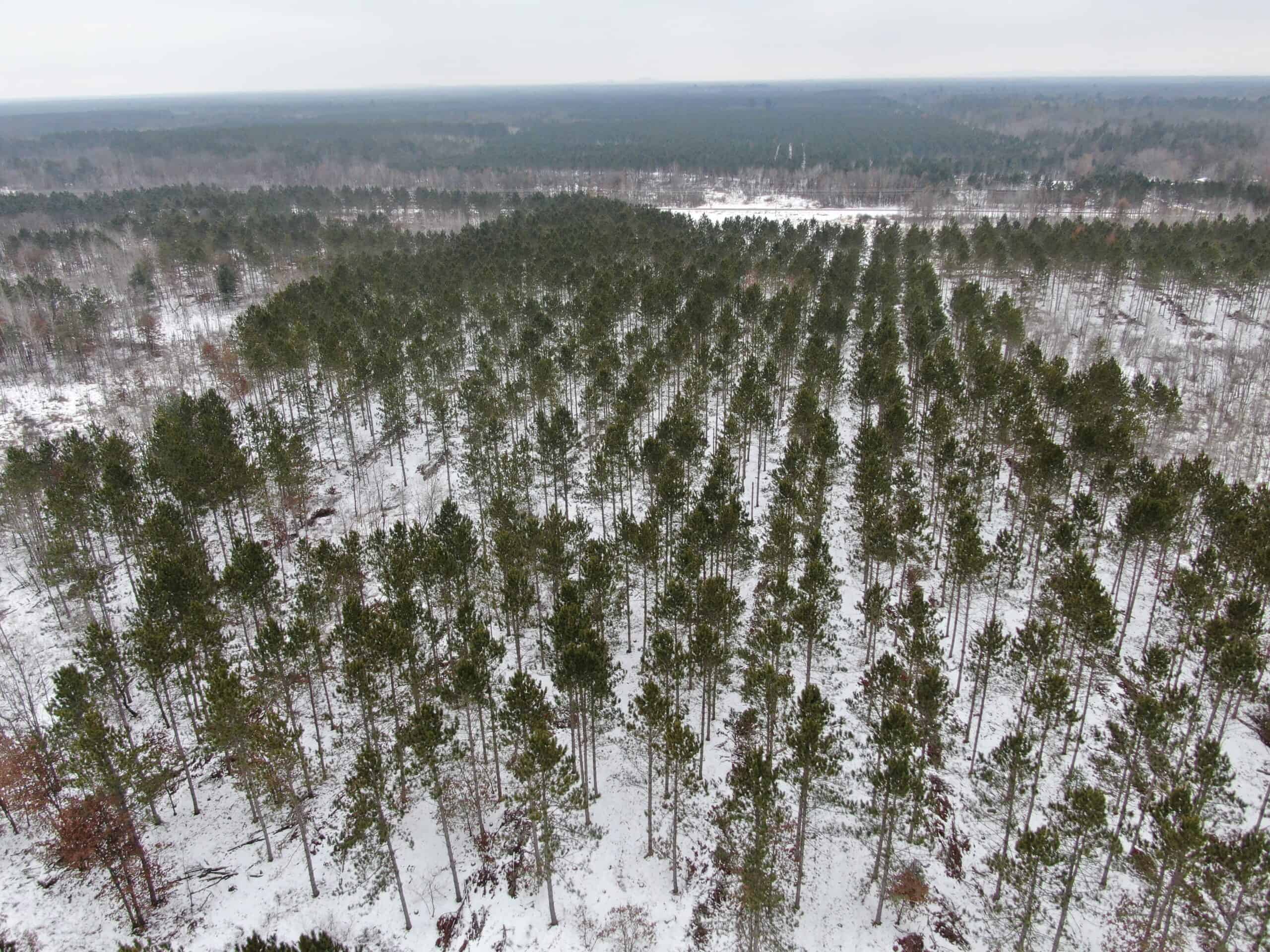 120± acre tract in the Town of Clearfield, Juneau County