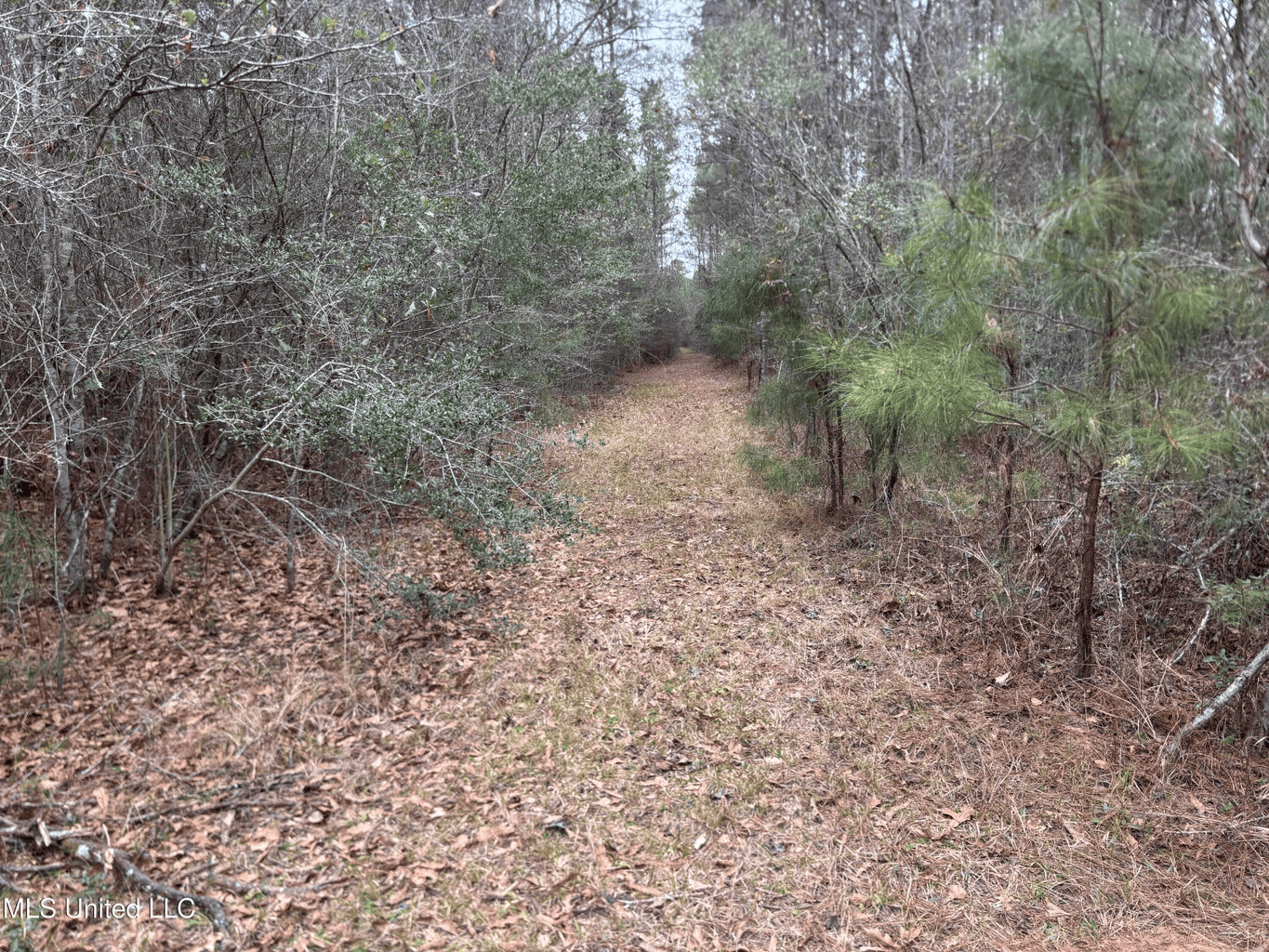 18 Acre Homesite in Magnolia, MS, Pike County