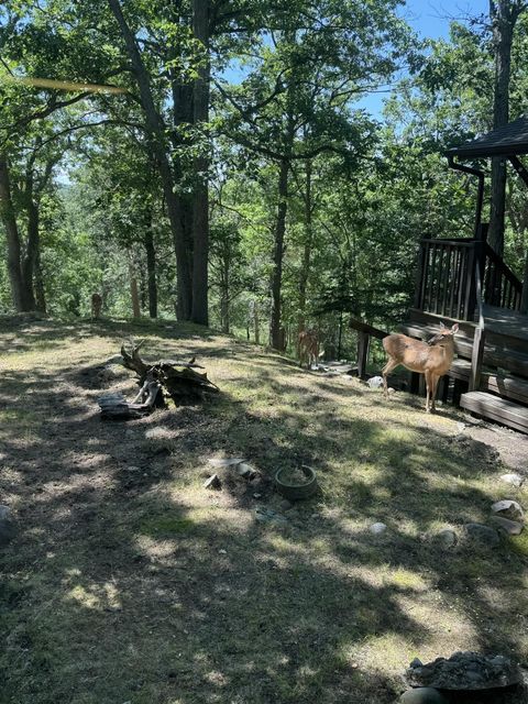 Private Canada Creek Ranch Cabin with Bunkhouse; Premier Hunting; Fishing