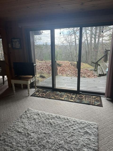 Private Canada Creek Ranch Cabin with Bunkhouse; Premier Hunting; Fishing