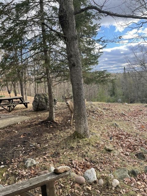 Private Canada Creek Ranch Cabin with Bunkhouse; Premier Hunting; Fishing