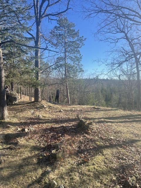 Private Canada Creek Ranch Cabin with Bunkhouse; Premier Hunting; Fishing