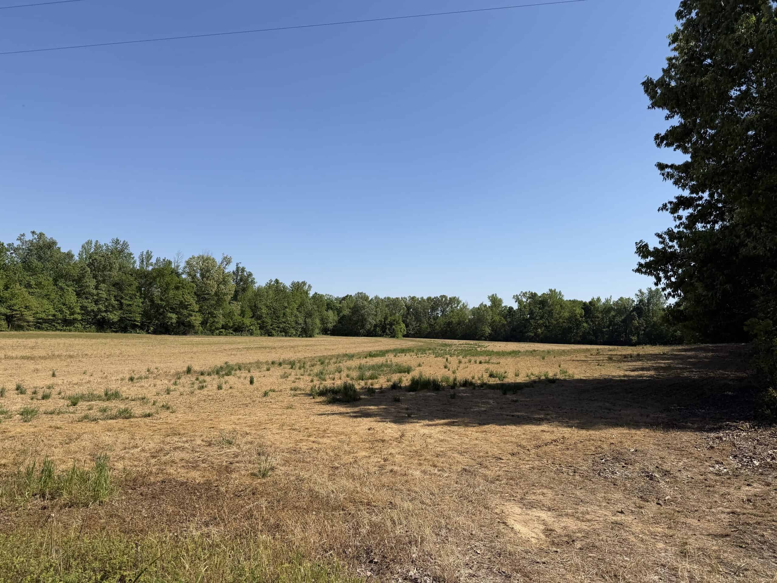 LAND FOR SALE IN TN, 19 AC, TILLABLE, CREEK, BUILDING SITE
