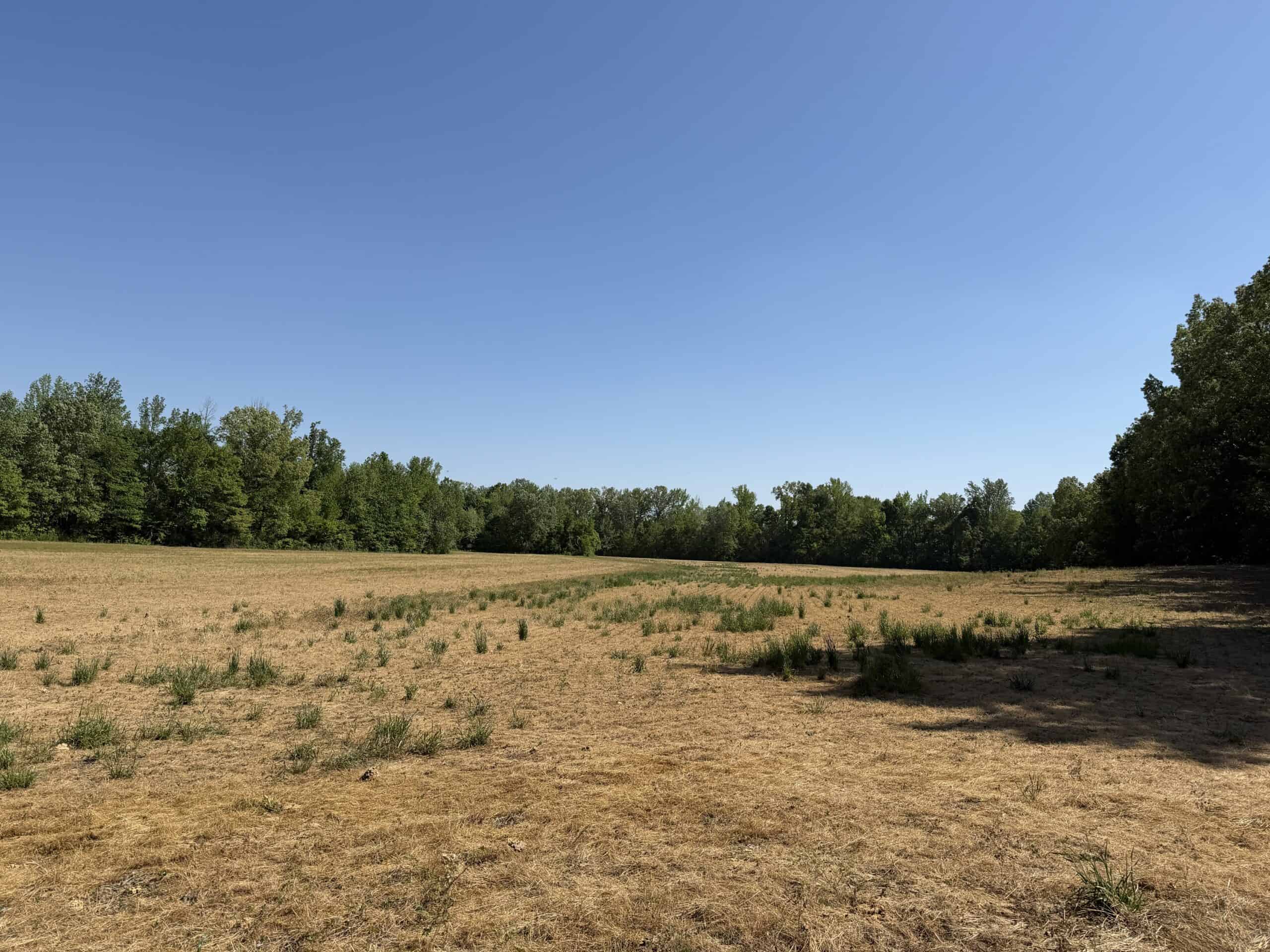 LAND FOR SALE IN TN, 19 AC, TILLABLE, CREEK, BUILDING SITE