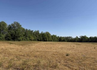 LAND FOR SALE IN TN, 19 AC, TILLABLE, CREEK, BUILDING SITE