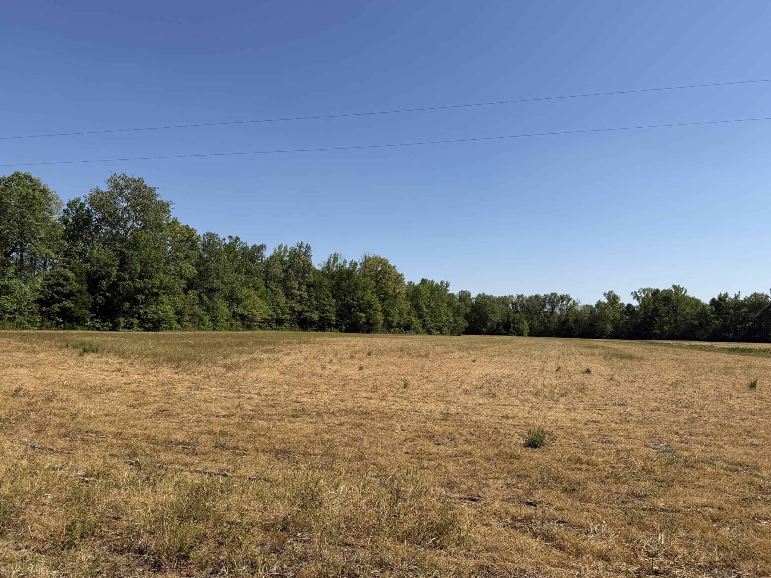 LAND FOR SALE IN TN, 19 AC, TILLABLE, CREEK, BUILDING SITE