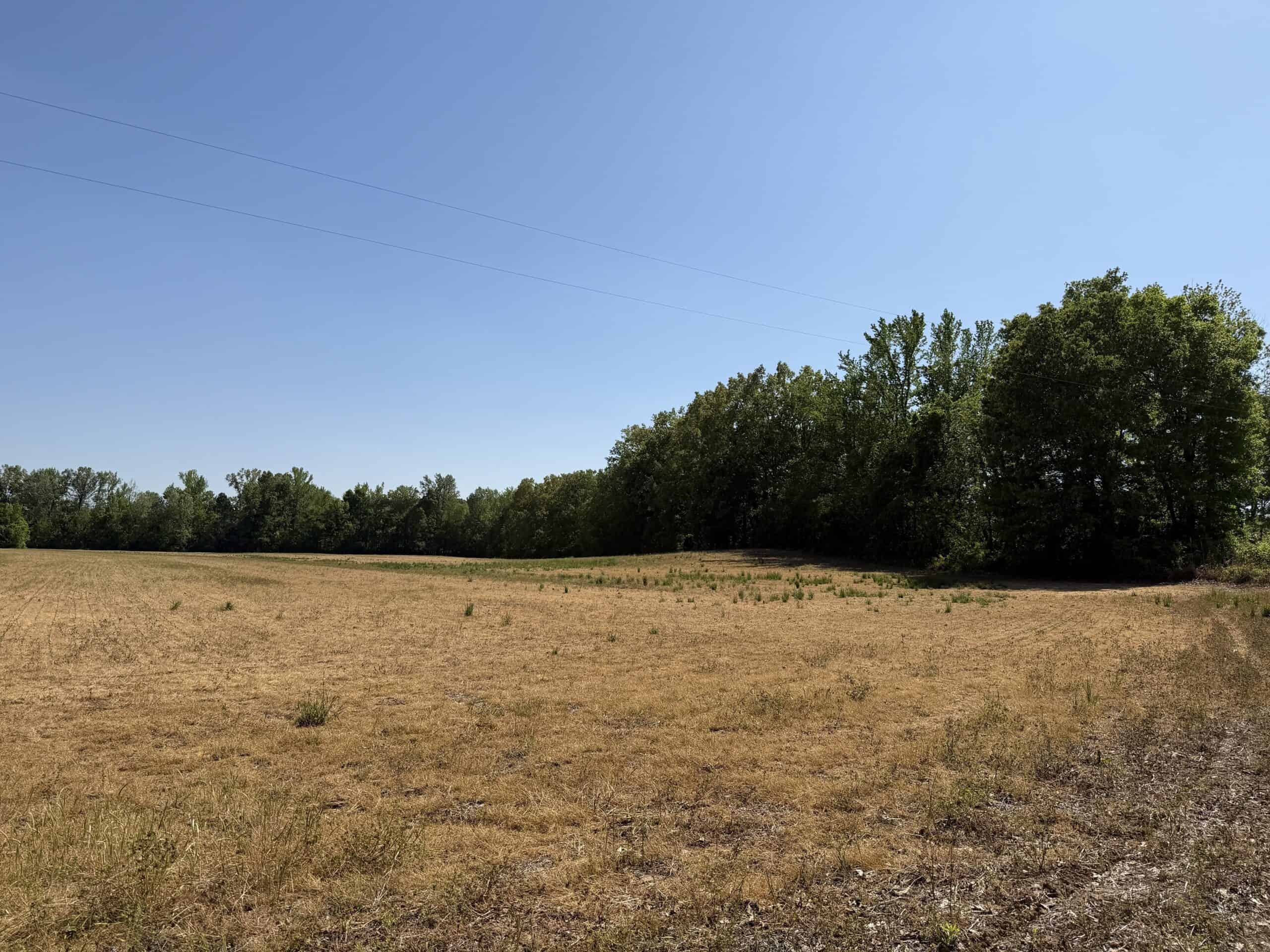 LAND FOR SALE IN TN, 19 AC, TILLABLE, CREEK, BUILDING SITE