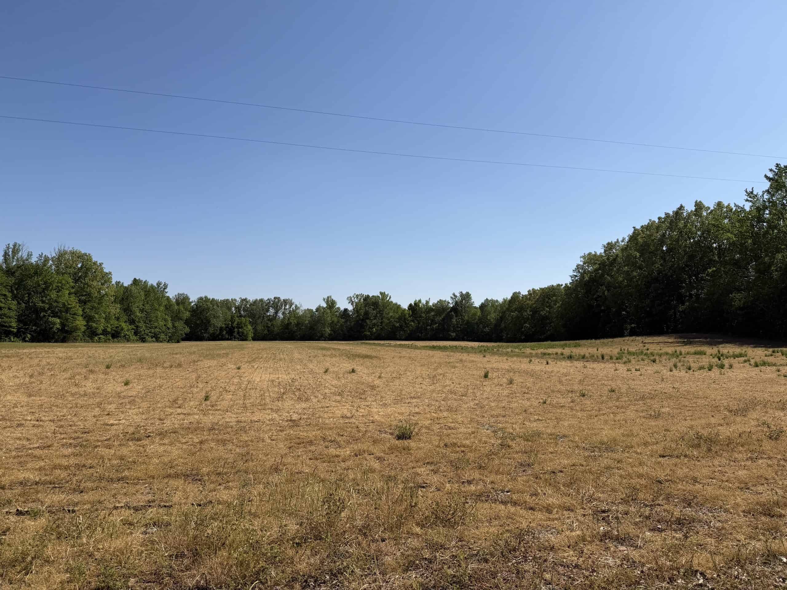 LAND FOR SALE IN TN, 19 AC, TILLABLE, CREEK, BUILDING SITE