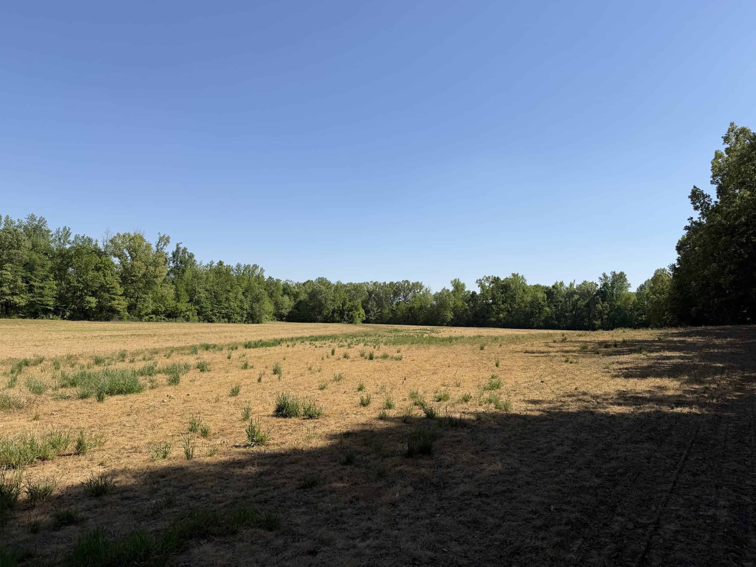 LAND FOR SALE IN TN, 19 AC, TILLABLE, CREEK, BUILDING SITE