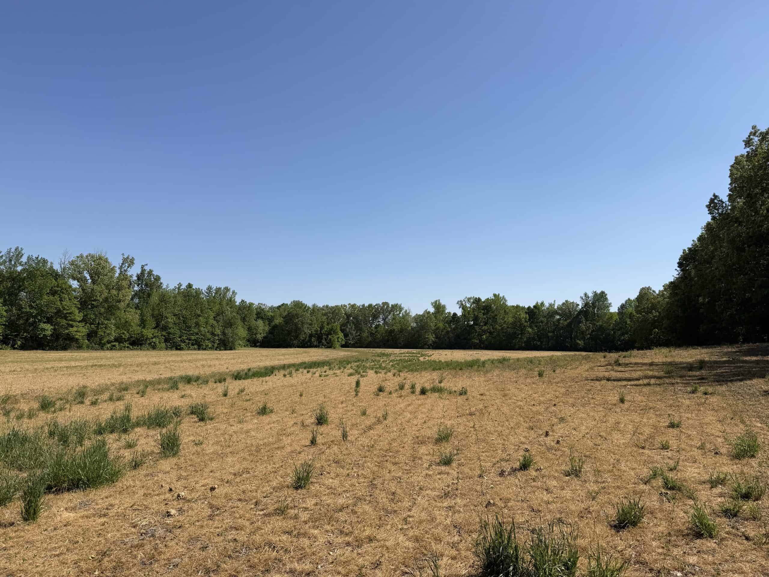 LAND FOR SALE IN TN, 19 AC, TILLABLE, CREEK, BUILDING SITE