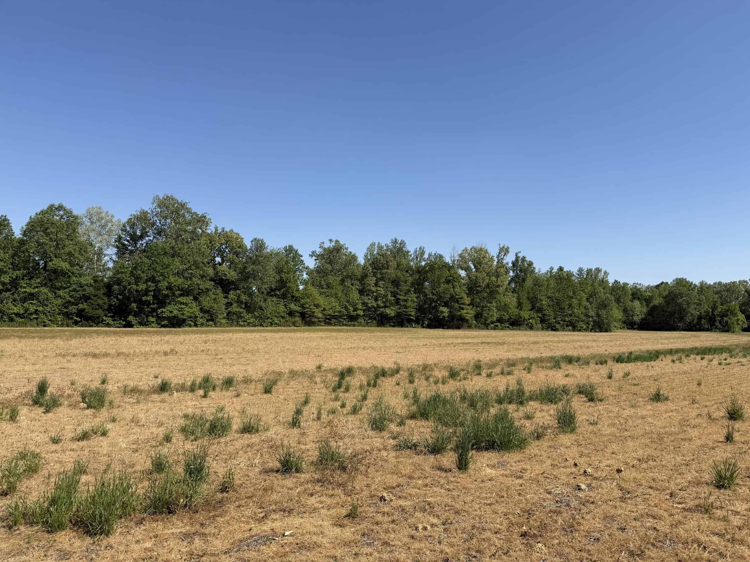 LAND FOR SALE IN TN, 19 AC, TILLABLE, CREEK, BUILDING SITE