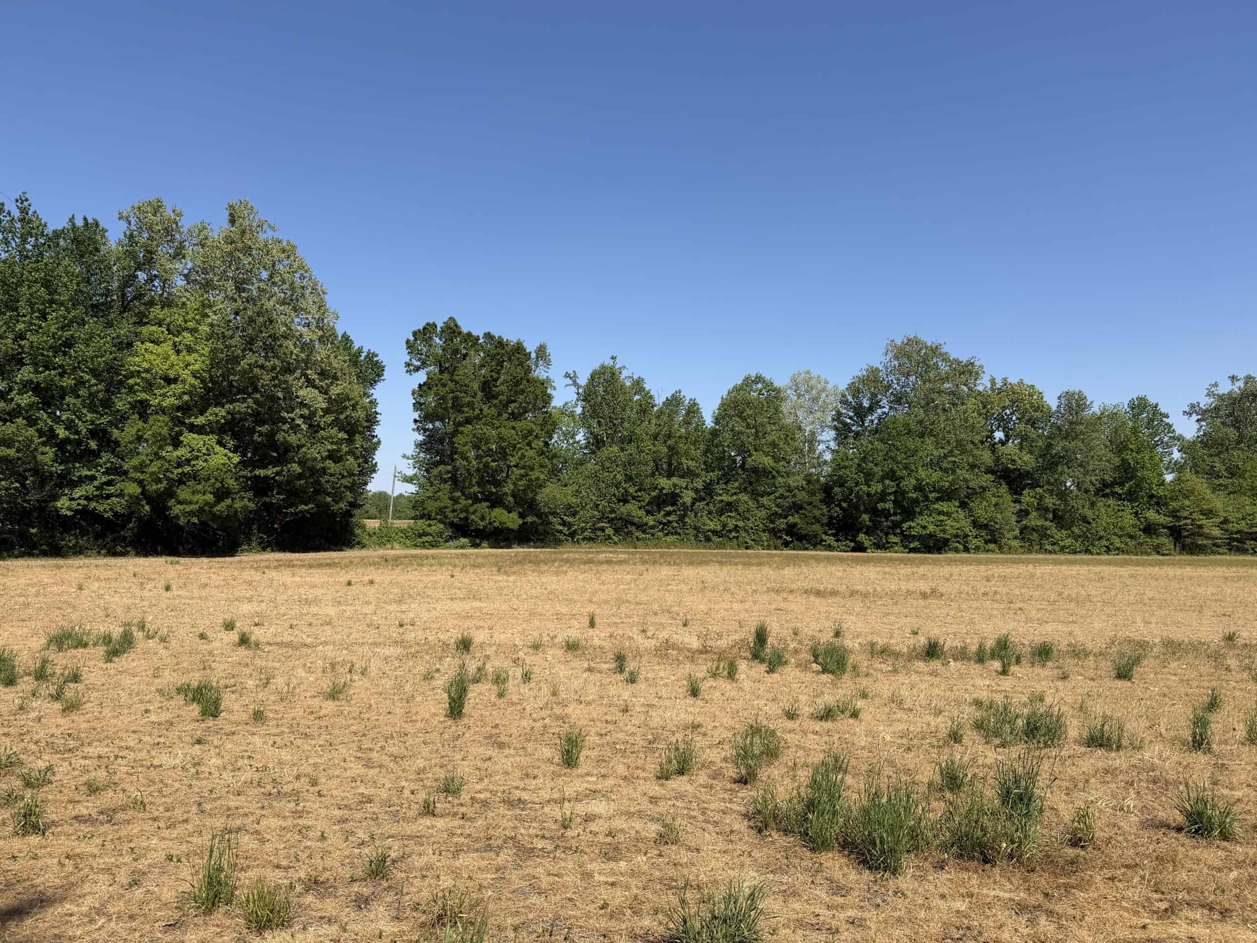 LAND FOR SALE IN TN, 19 AC, TILLABLE, CREEK, BUILDING SITE