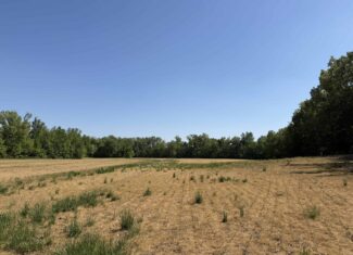 LAND FOR SALE IN TN, 19 AC, TILLABLE, CREEK, BUILDING SITE