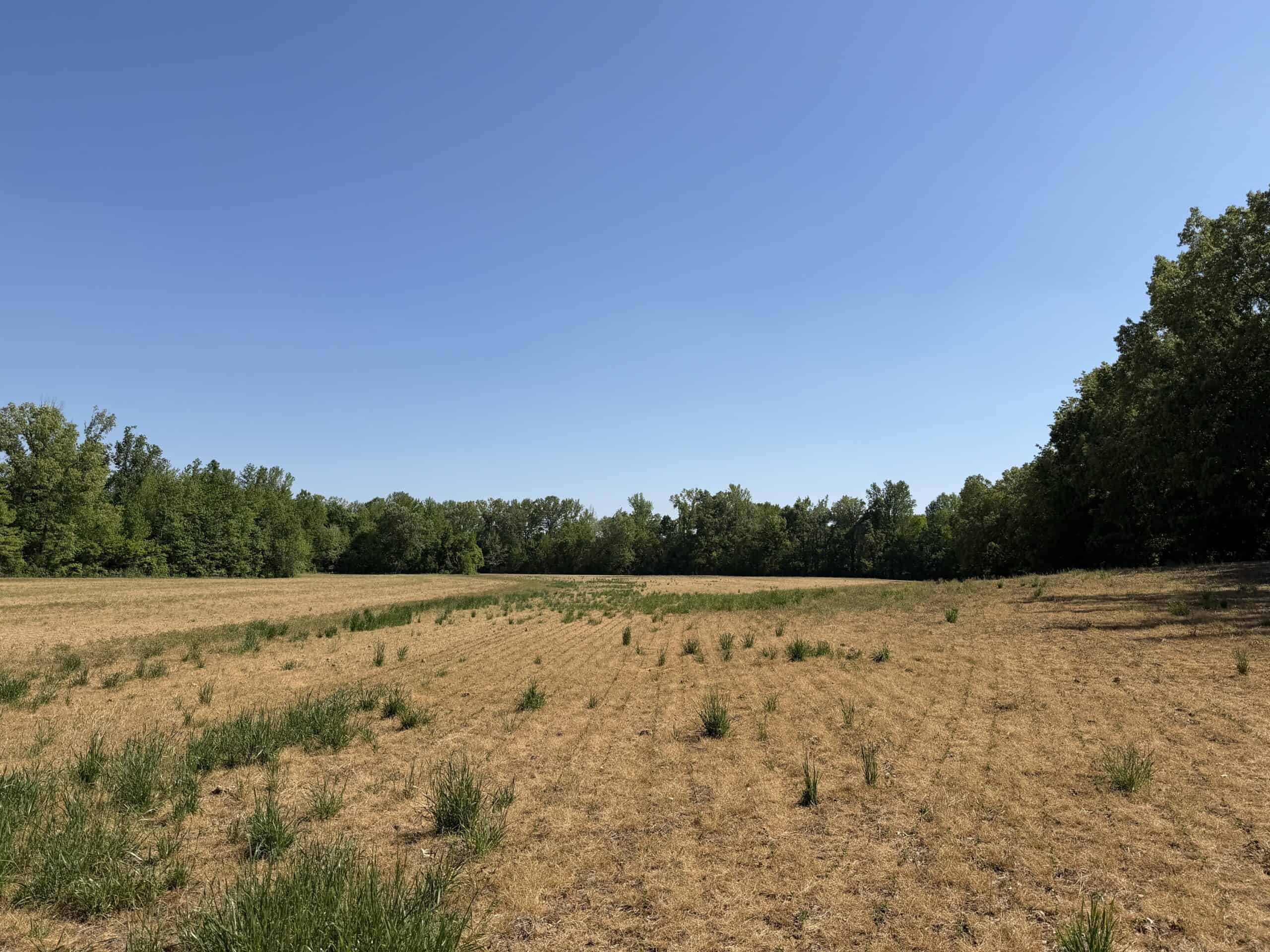 LAND FOR SALE IN TN, 19 AC, TILLABLE, CREEK, BUILDING SITE