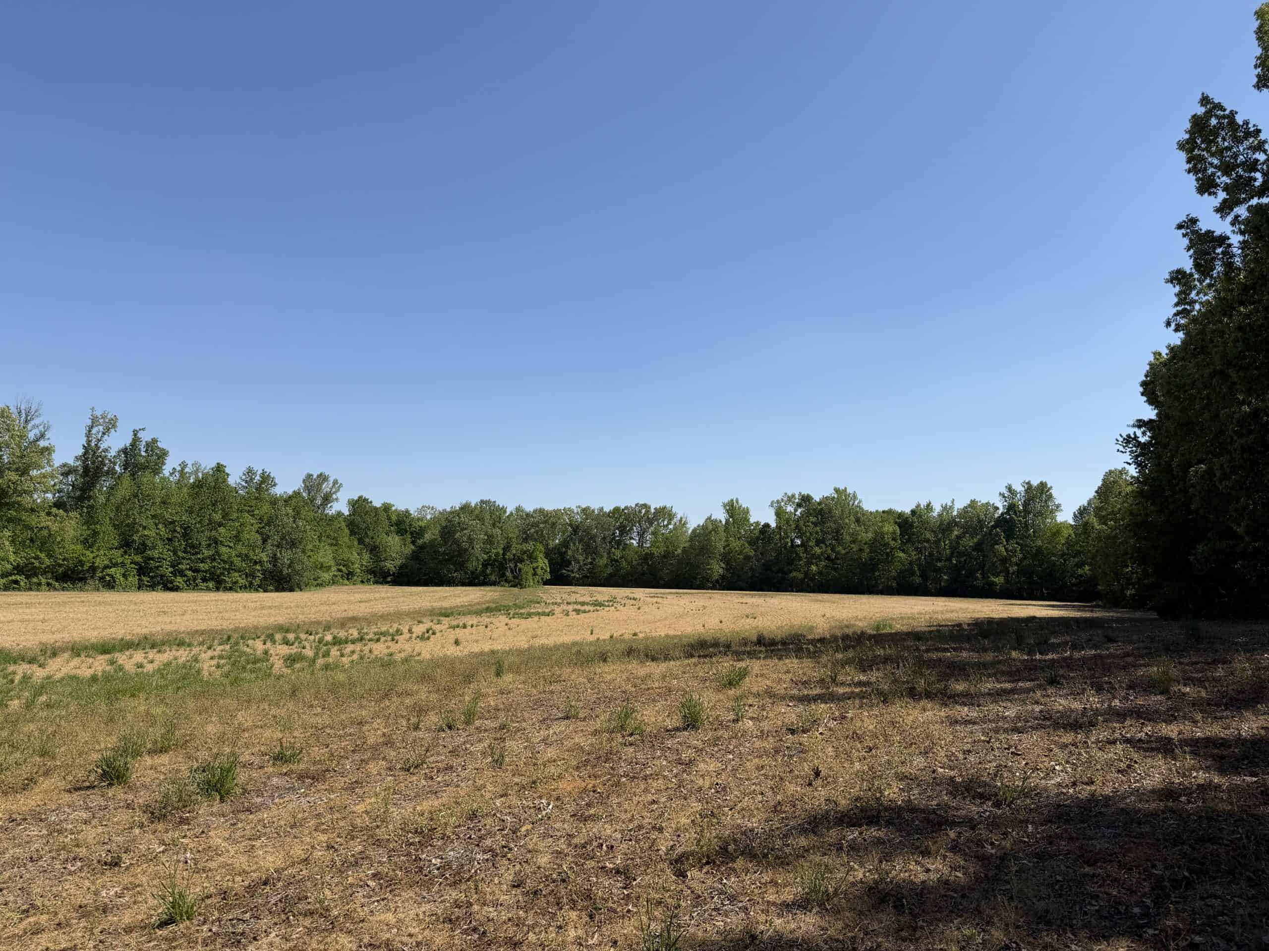 LAND FOR SALE IN TN, 19 AC, TILLABLE, CREEK, BUILDING SITE