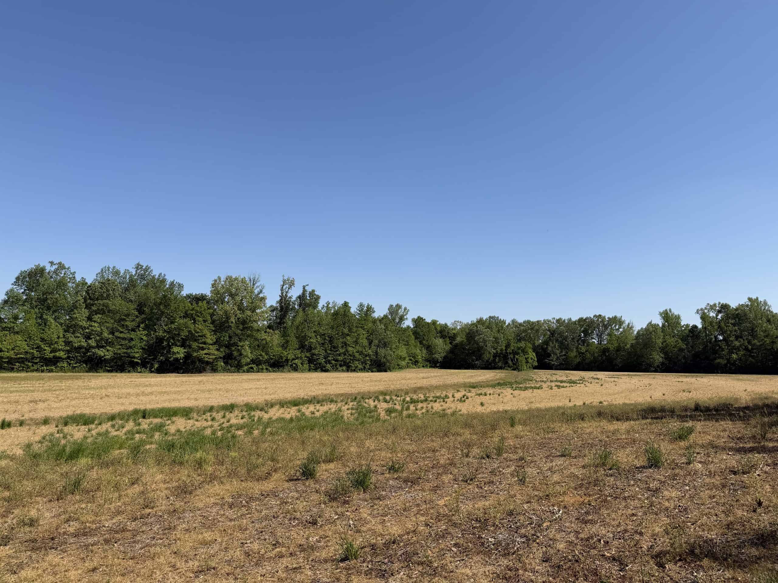 LAND FOR SALE IN TN, 19 AC, TILLABLE, CREEK, BUILDING SITE