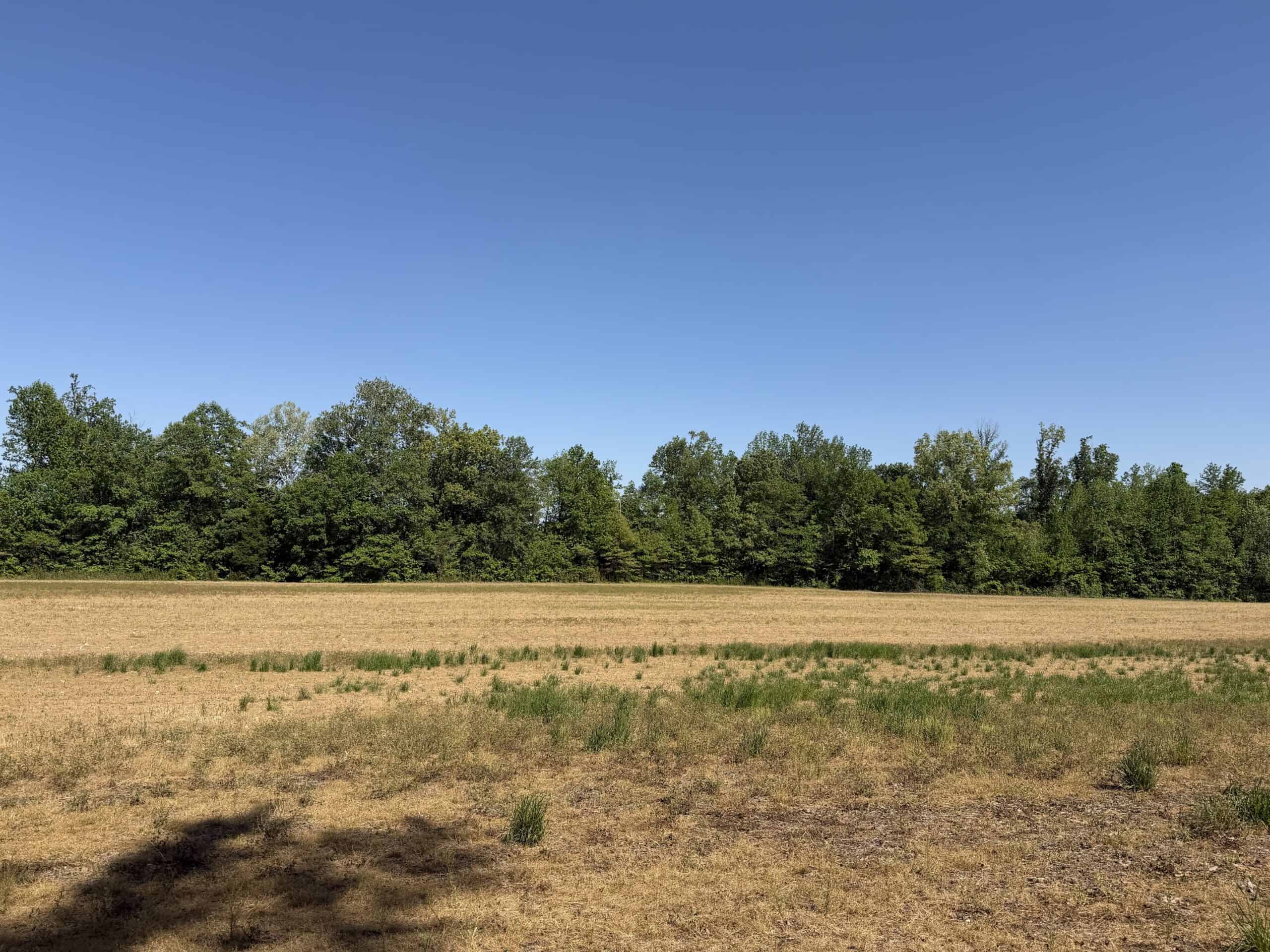 LAND FOR SALE IN TN, 19 AC, TILLABLE, CREEK, BUILDING SITE
