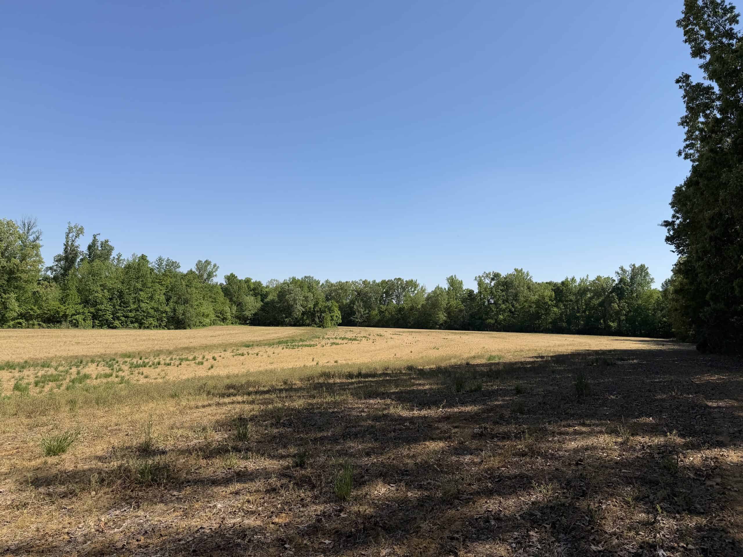 LAND FOR SALE IN TN, 19 AC, TILLABLE, CREEK, BUILDING SITE