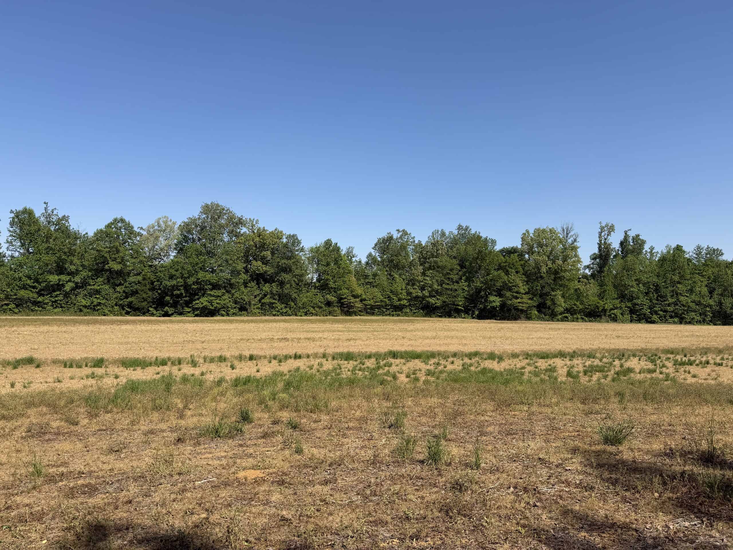 LAND FOR SALE IN TN, 19 AC, TILLABLE, CREEK, BUILDING SITE