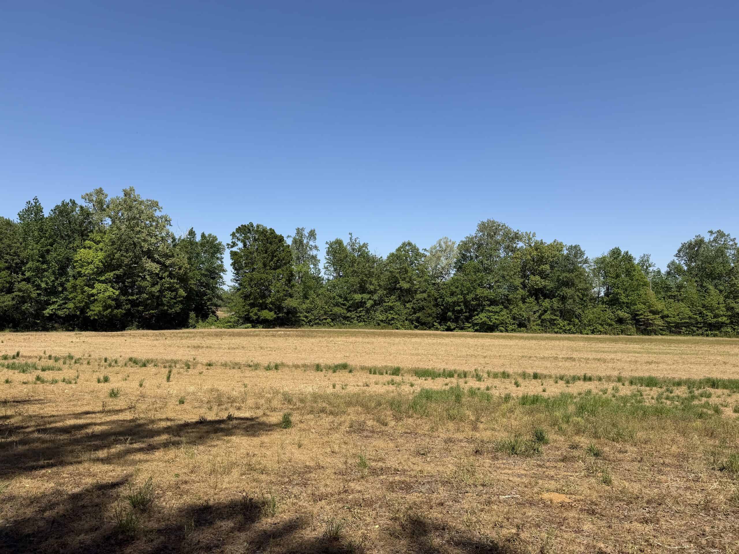 LAND FOR SALE IN TN, 19 AC, TILLABLE, CREEK, BUILDING SITE