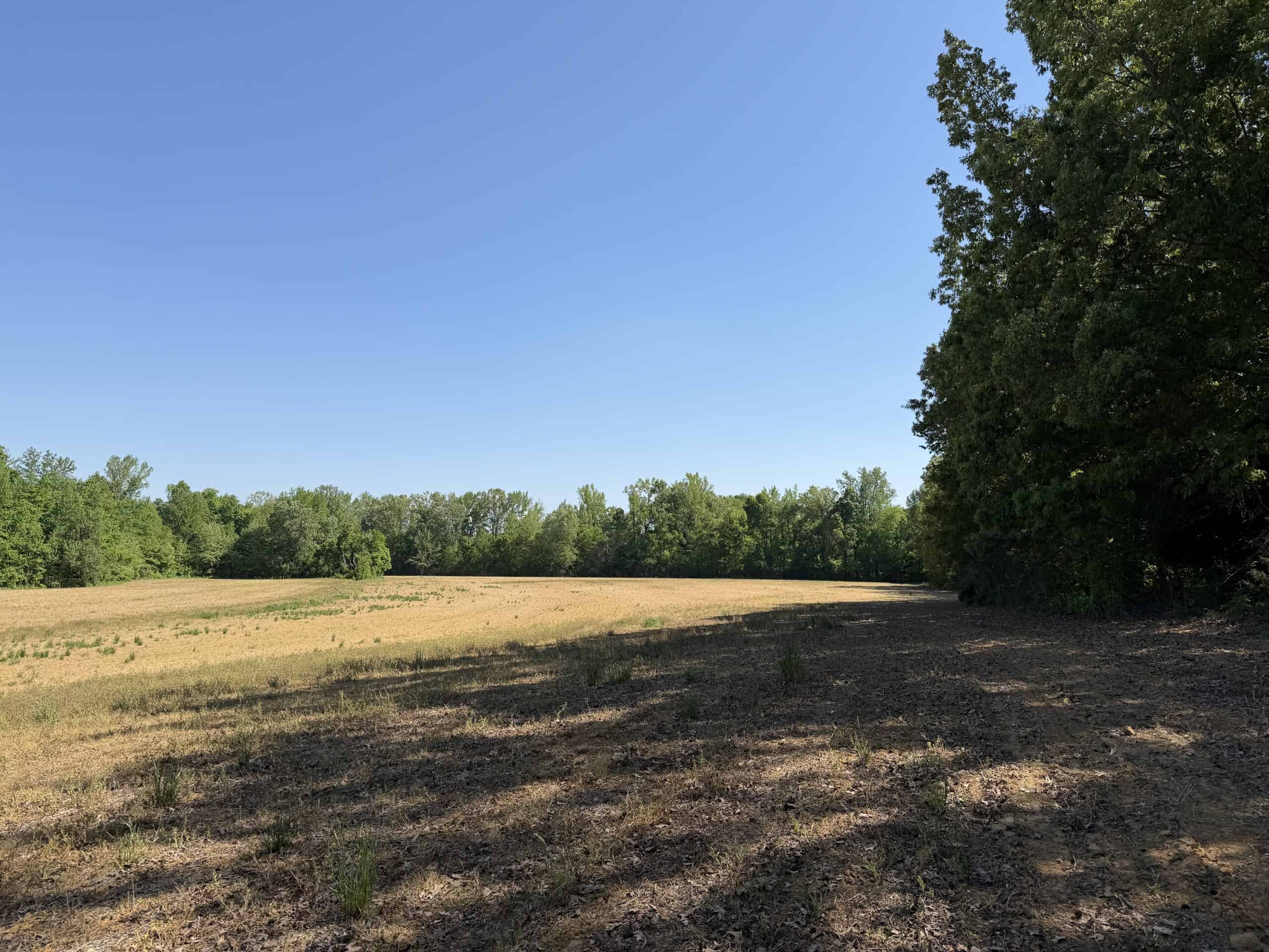 LAND FOR SALE IN TN, 19 AC, TILLABLE, CREEK, BUILDING SITE