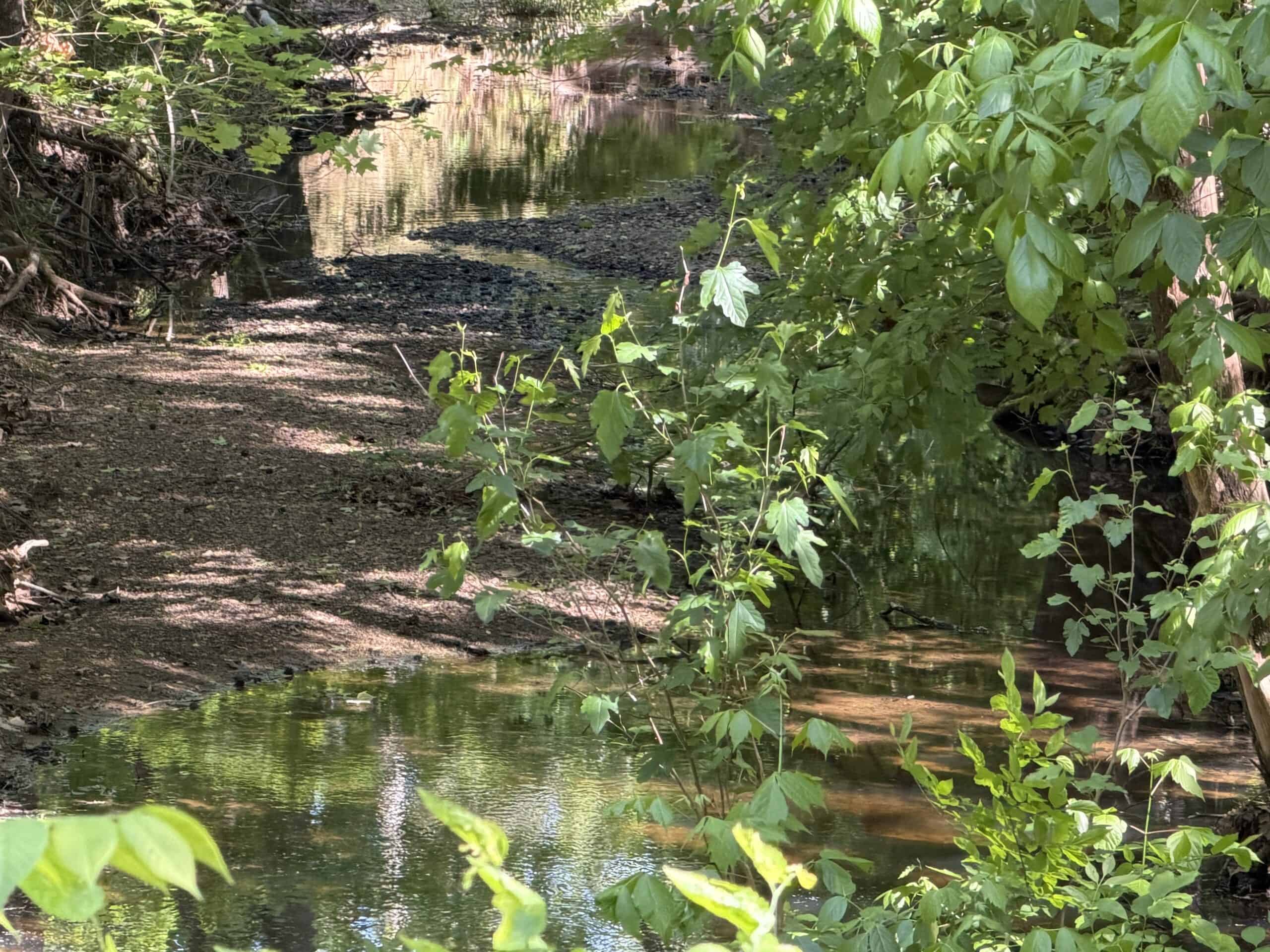 LAND FOR SALE IN TN, 19 AC, TILLABLE, CREEK, BUILDING SITE
