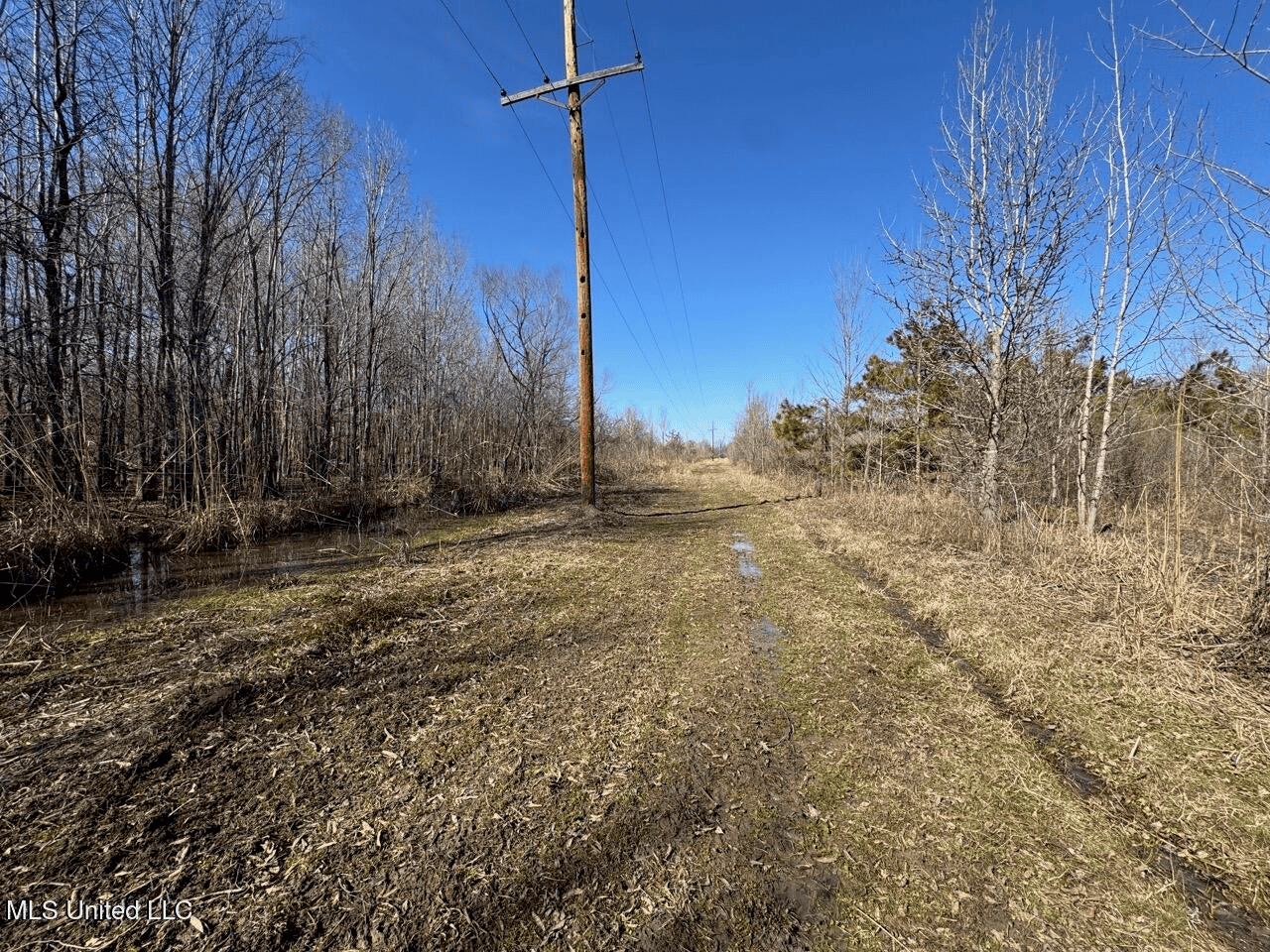 Tensas Riverfront Hunting Land Concordia Parish, LA