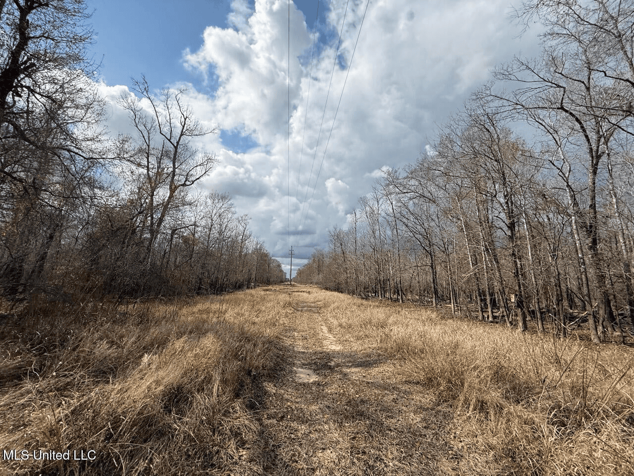 700 Acres in Allen Parish, Louisiana