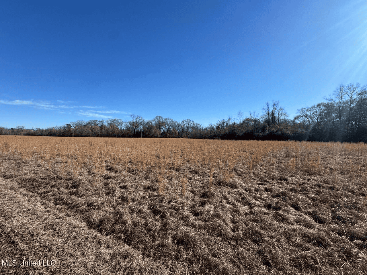 255 Acres East Baton Rouge Parish Near Zachary, LA
