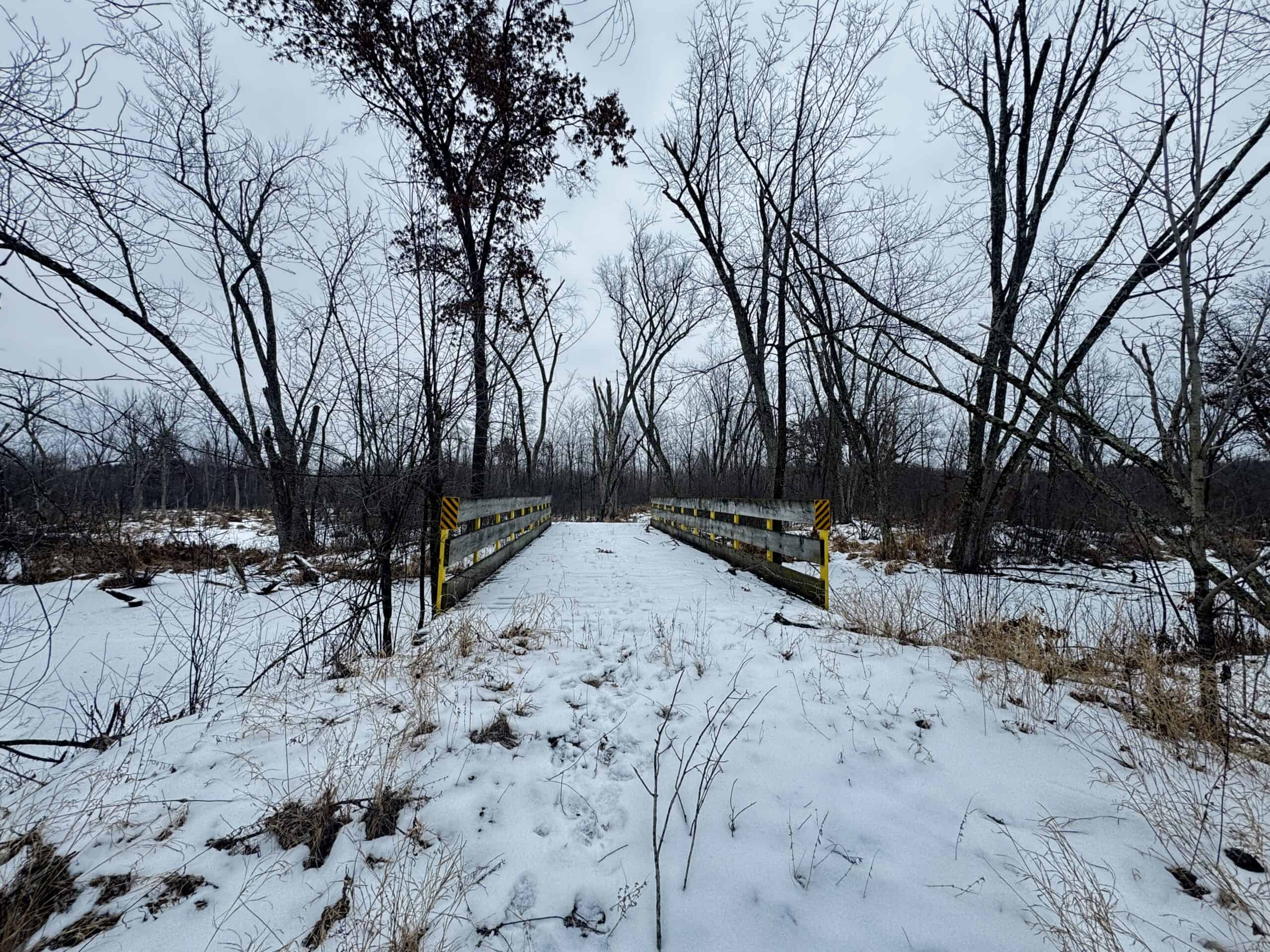 81.54± Acre Parcel in the Town of Clearfield, Juneau County