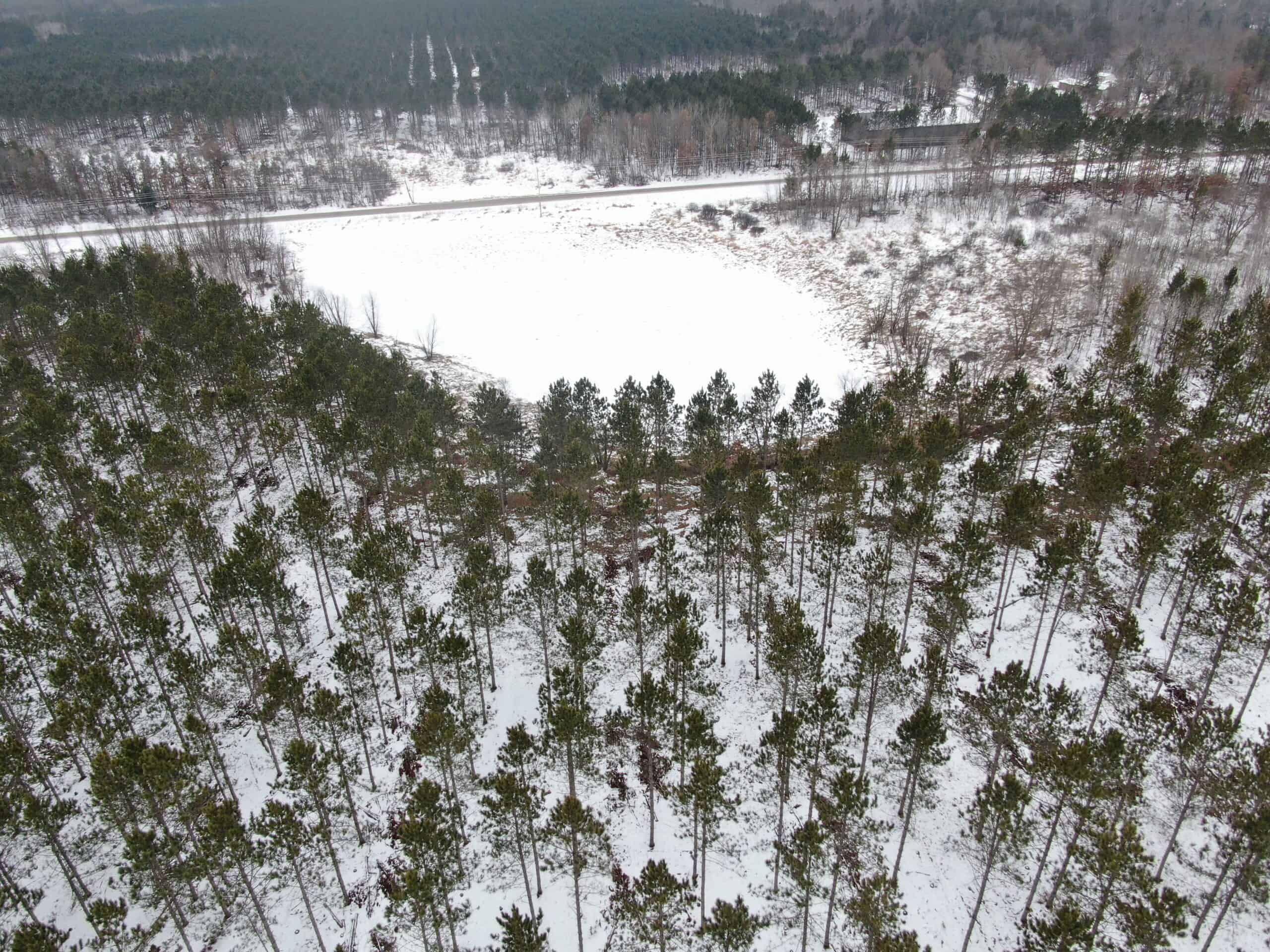 120± acre tract in the Town of Clearfield, Juneau County
