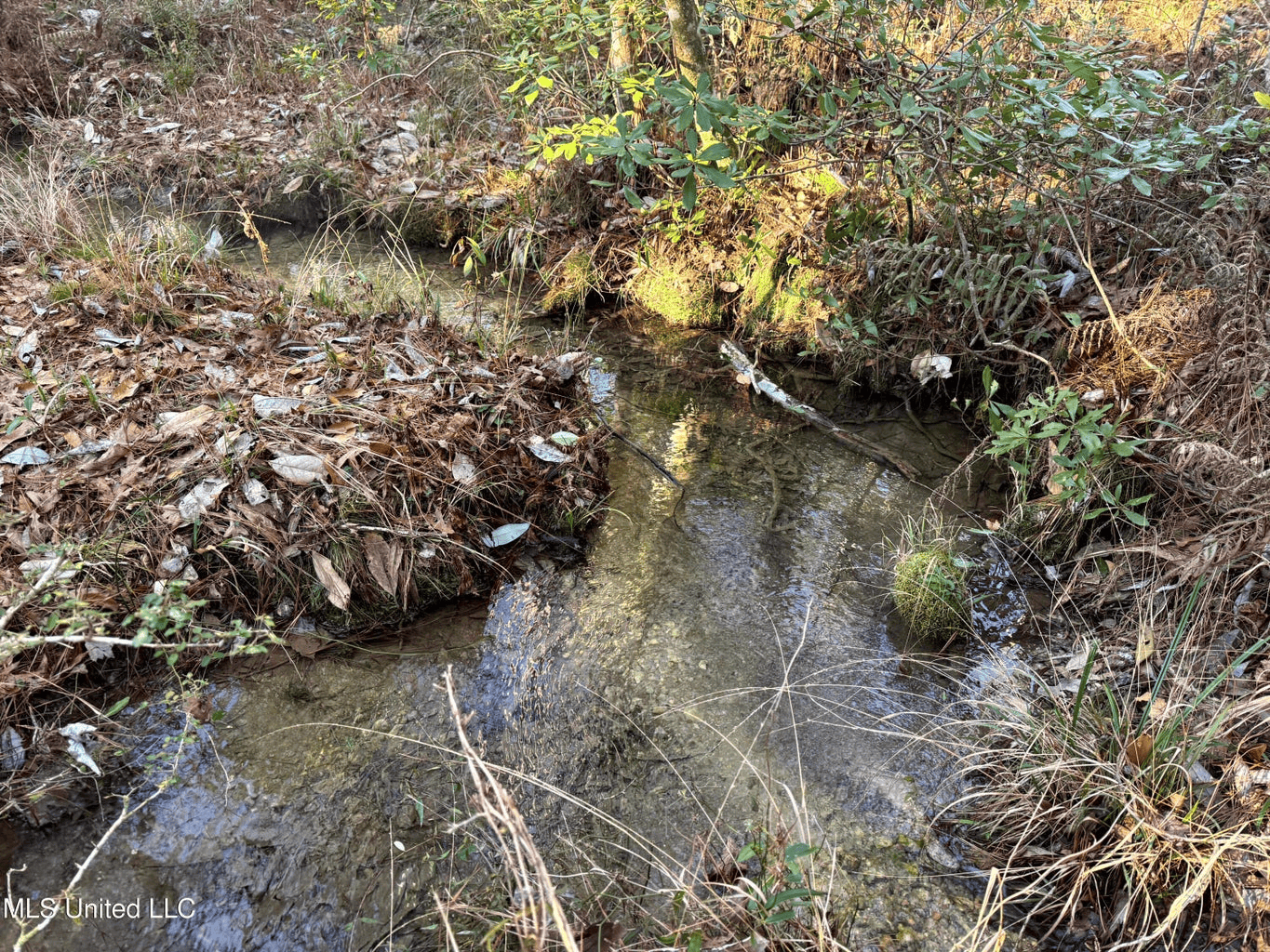 South MS Camp and Land Bordering the National Forest