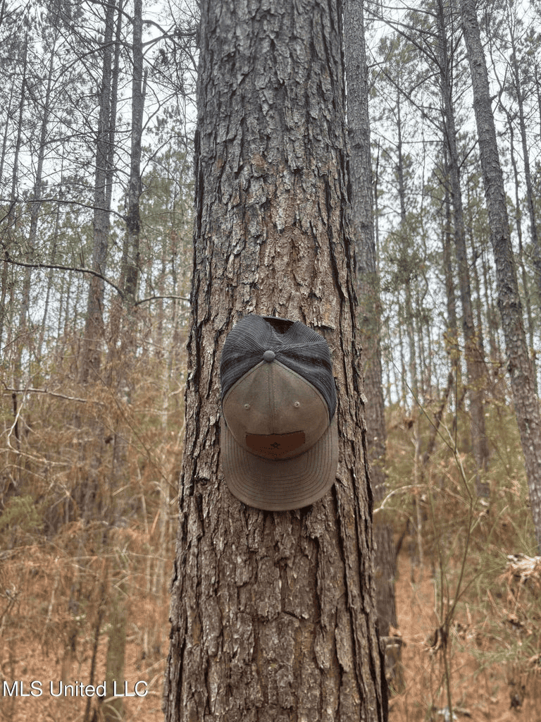 18 Acre Homesite in Magnolia, MS, Pike County